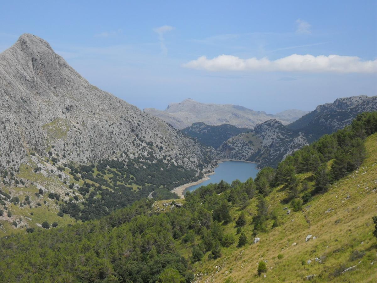 Hostal Villa Primavera Puerto de Sóller エクステリア 写真