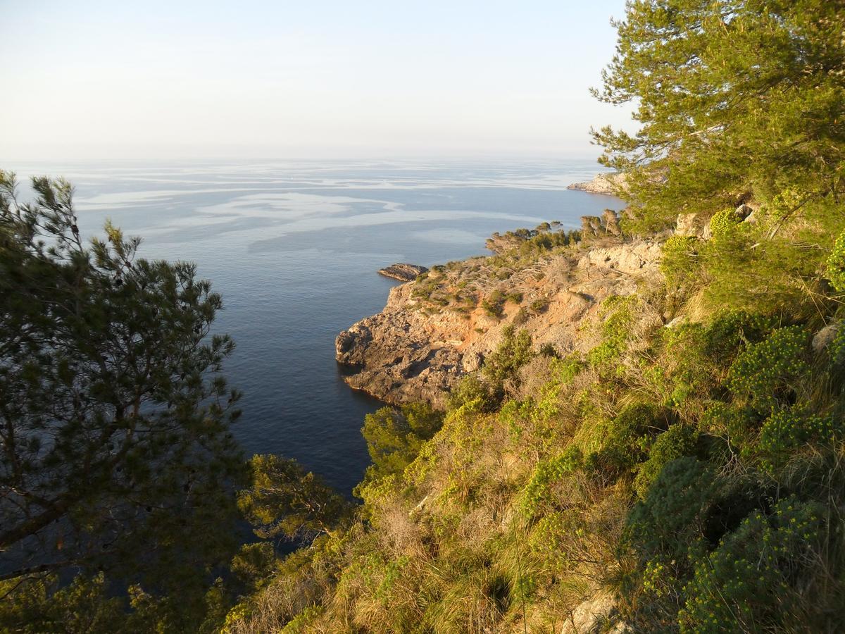 Hostal Villa Primavera Puerto de Sóller エクステリア 写真